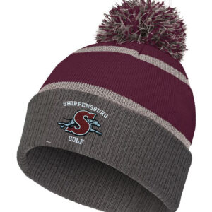 223816 REFLECTIVE BEANIE