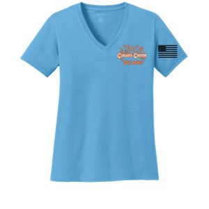 LPC54V  Port & Company® Ladies Core Cotton V-Neck Tee