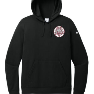 NKFD9889  Nike Women's Club Fleece Sleeve Swoosh Pullover Hoodie
