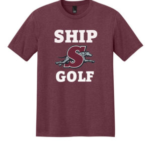 DM130 - District® Perfect Tri® Tee