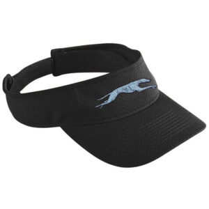 #6227 Athletic Mesh Visor Style